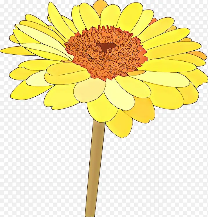 ��ͨ ���� ��ɫ-������