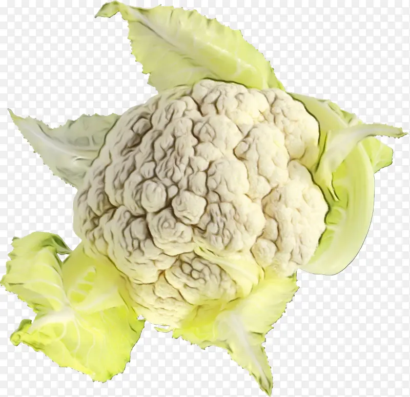 ˮ�� ���� ʪīˮ-������