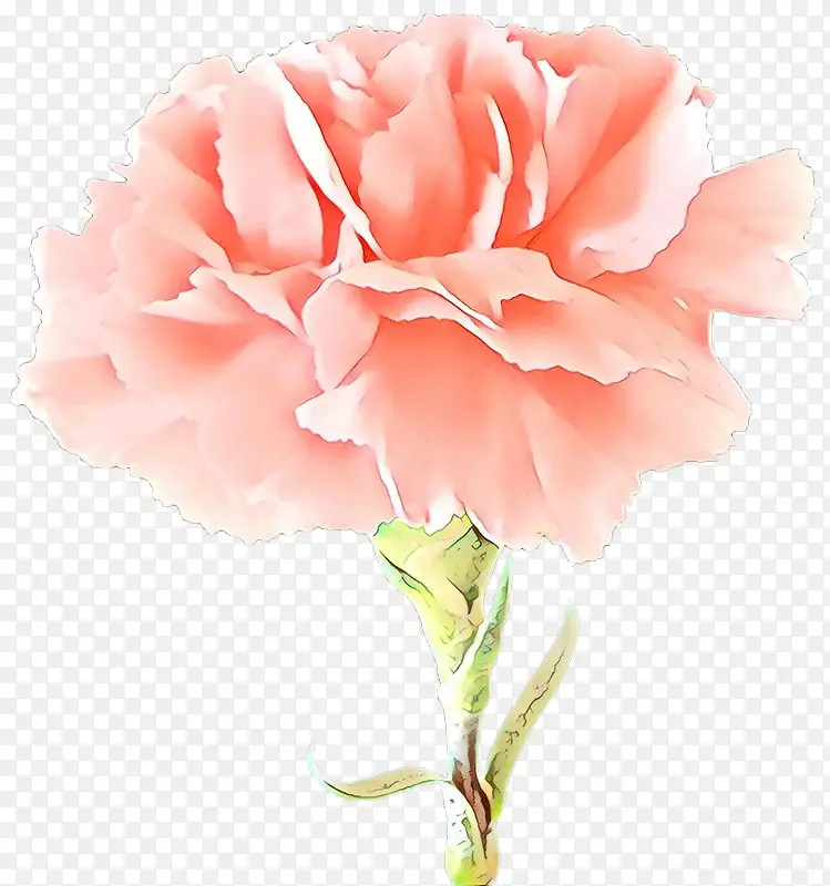 ��ͨ ���� ����ֲ��-������