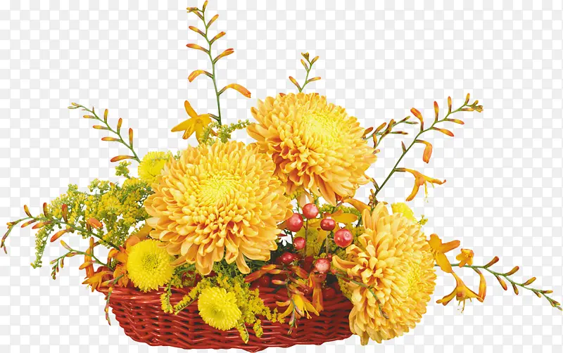 �ɹ���Ʒ���� ����ѧ �������-������