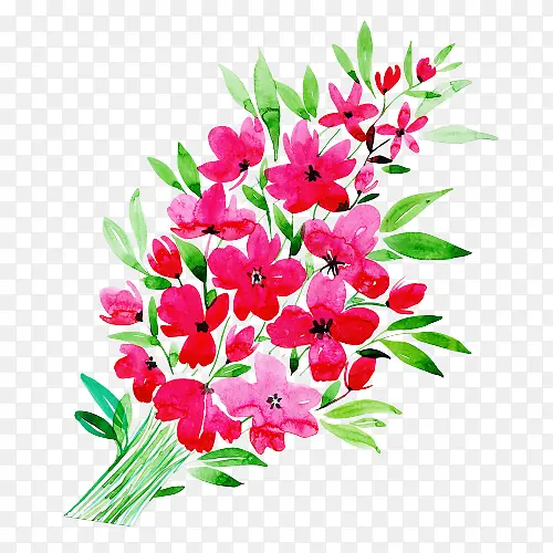 ���� ����ֲ�� ֲ��-������