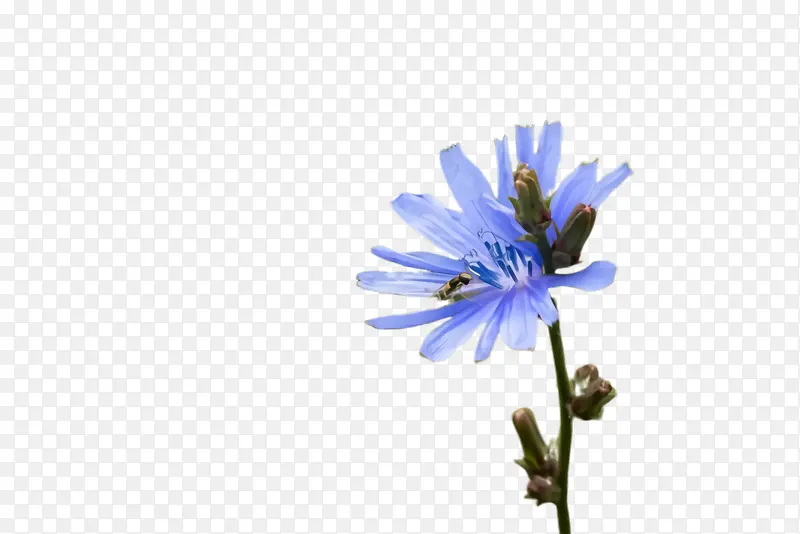 ˮ�ʻ� ���� ʪī-������