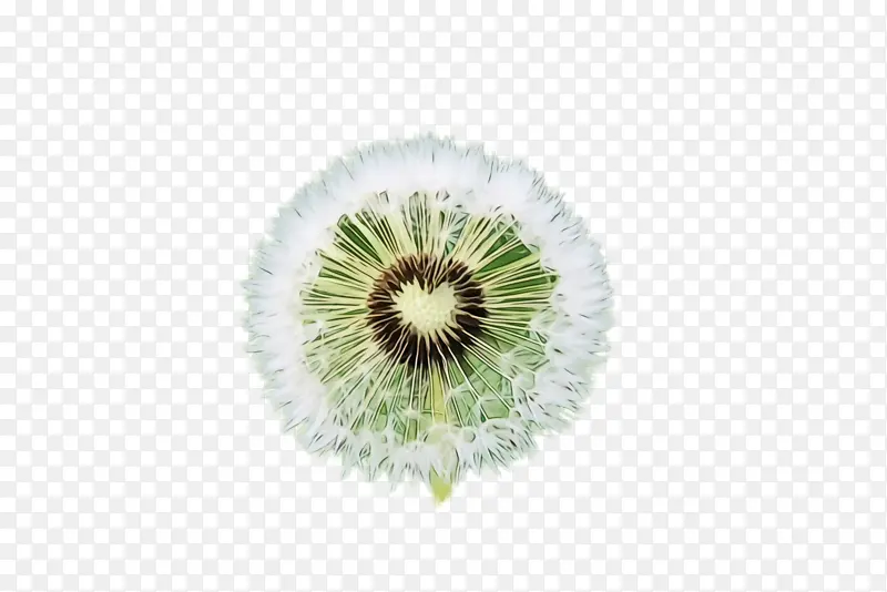 ˮ�ʻ� ���� ʪī-������