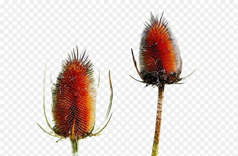 ˮ�� ���� ʪī-������