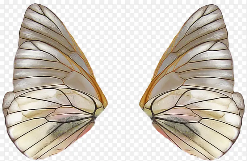 ���� ���� ���-������