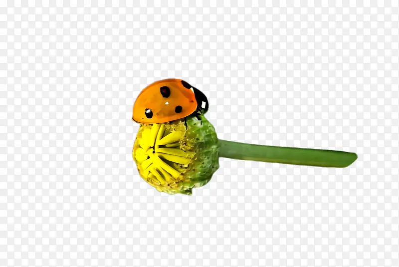 ���� ��ɫ ư��-������