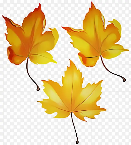 ��Ҷ ��Ҷ ��ľ-������