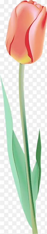 ˮ�ʻ� ���� ʪī-������