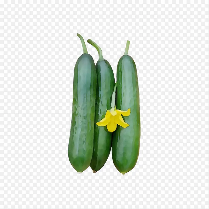 ˮ�� ���� ʪī-������