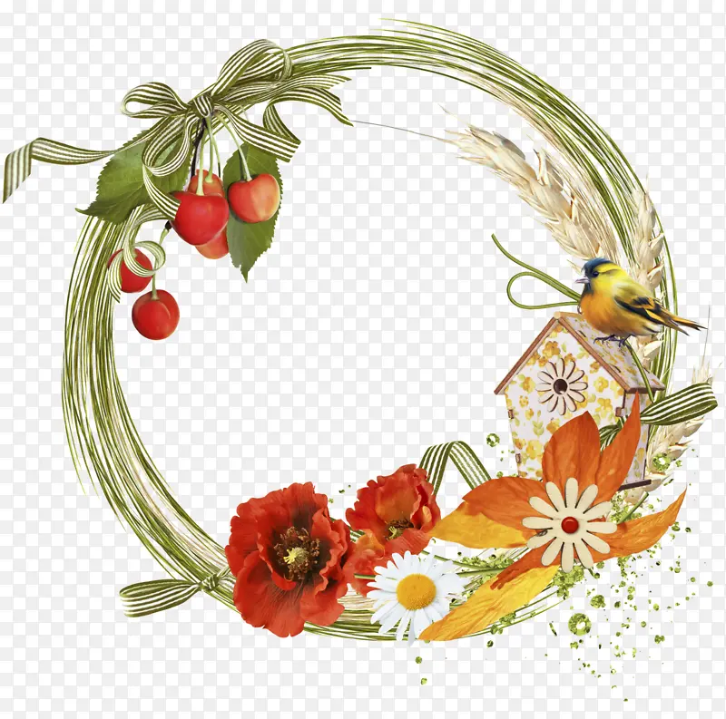 ֲ�� ���� ʱ������-������