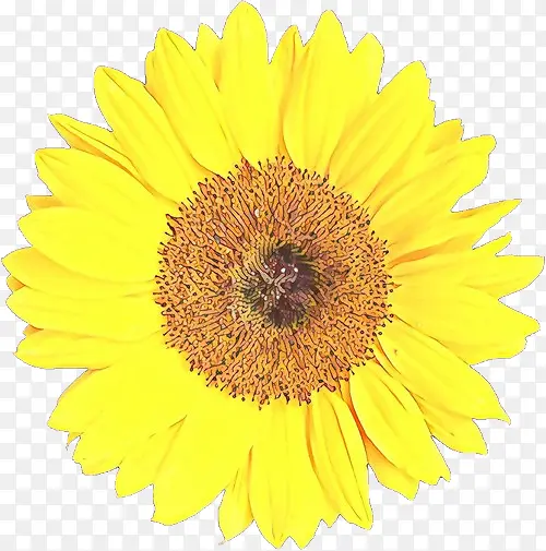 ��ͨ ���տ� ��-������