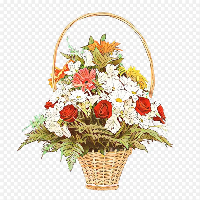 ��ͨ ���� ����-������