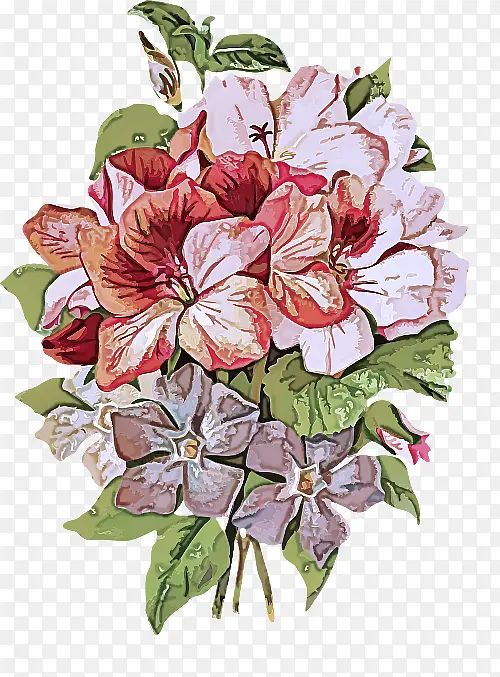 �� ֲ�� ����ֲ��-������