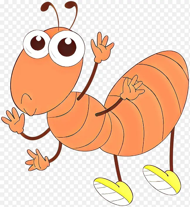 ��ͨ ��ɫ ��������-������