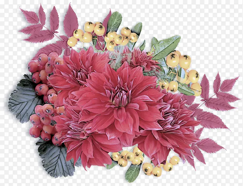 ���� ��ɫ ����-������