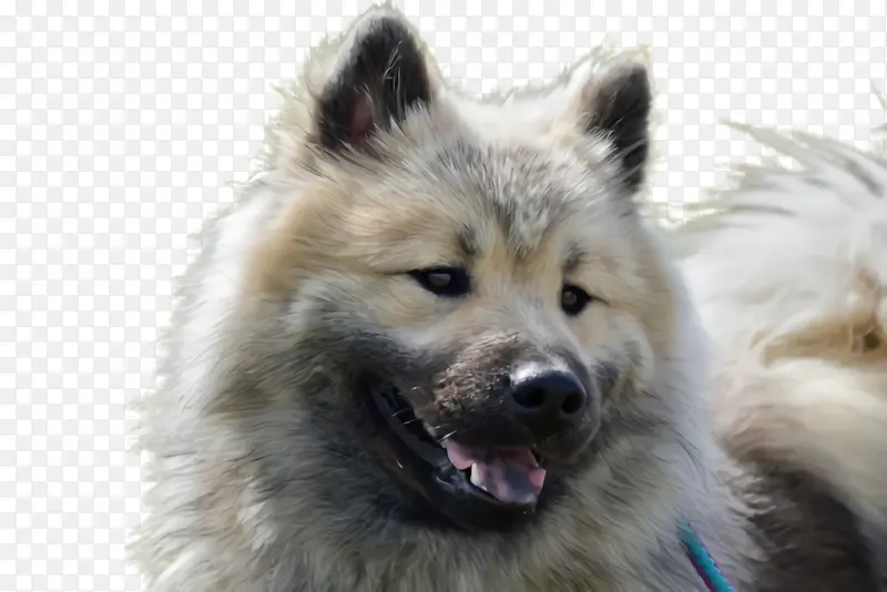 ��ɫ ����ʯɫ ǳ��ɫ-������