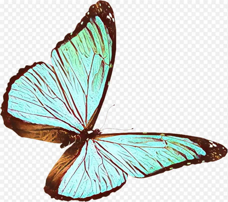 ��ͨ ���� ����-������