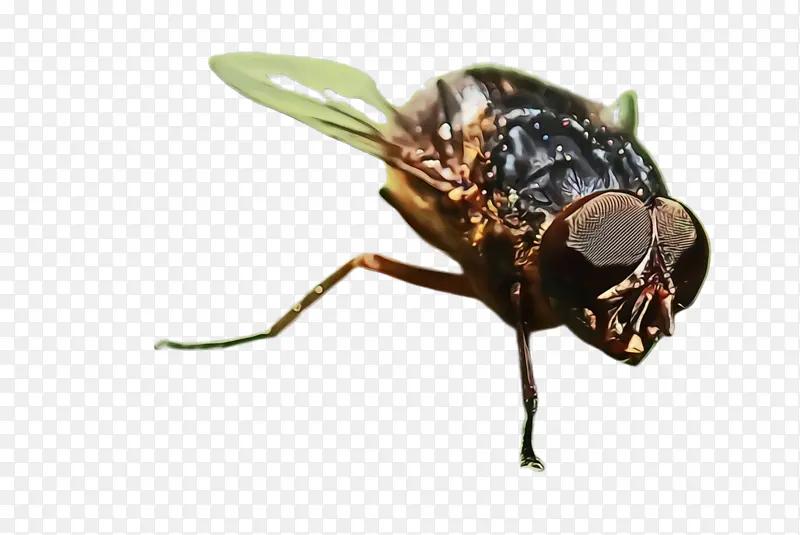 ˮ�� ���� ʪīˮ-������