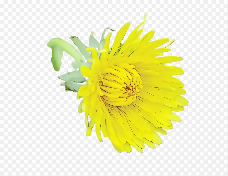 ˮ�� ���� ʪī-������