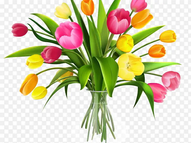 �ɹ���Ʒ�� ֲ�� �л�-������