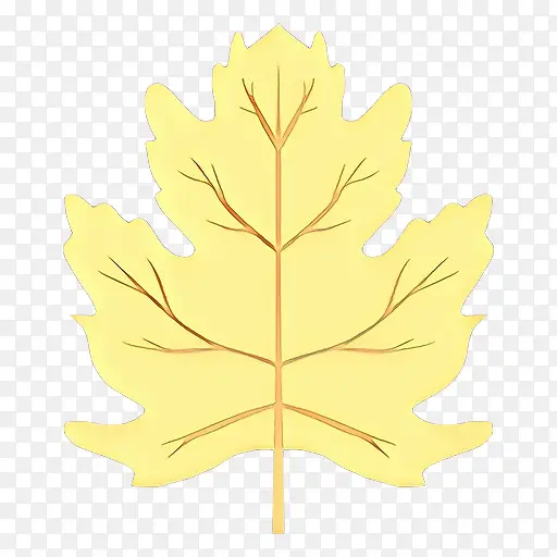 ��ͨ Ҷ�� ��-������