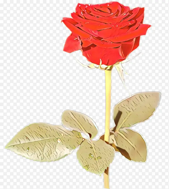 ��ͨ ���� �л�-������