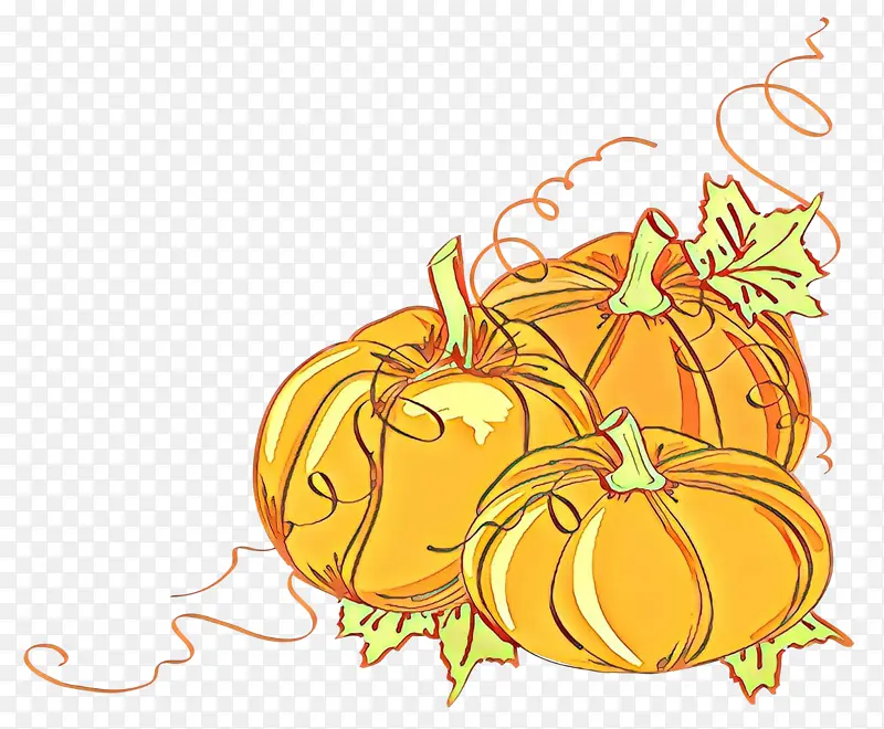 ��ͨ ��ɫ ��ɫ-������