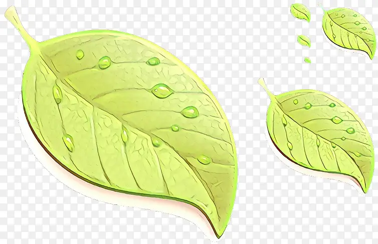 ��ͨ Ҷ�� ��ɫ-������