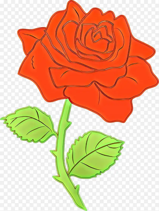 ��ͨ ���� ��԰õ��-������