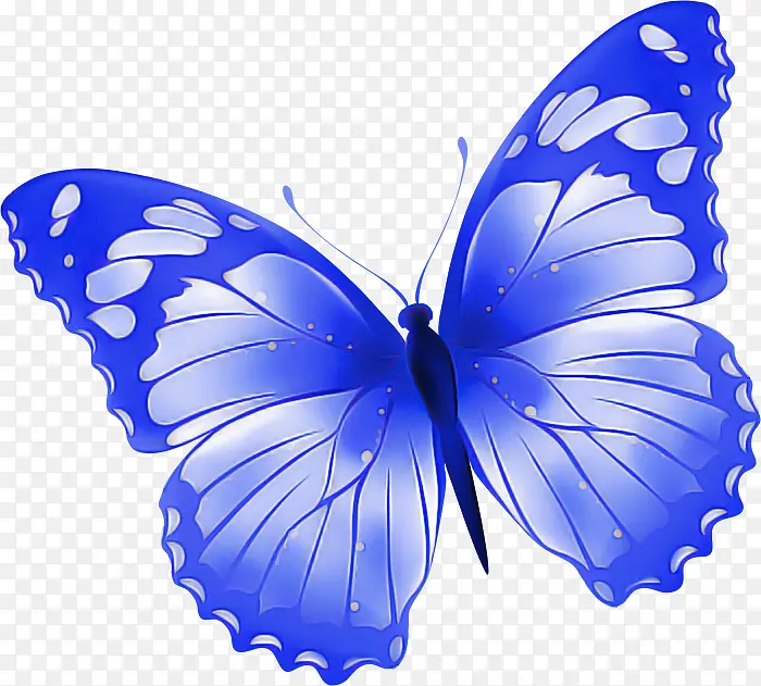 �ɶ�ͺ��� ���� ����-������