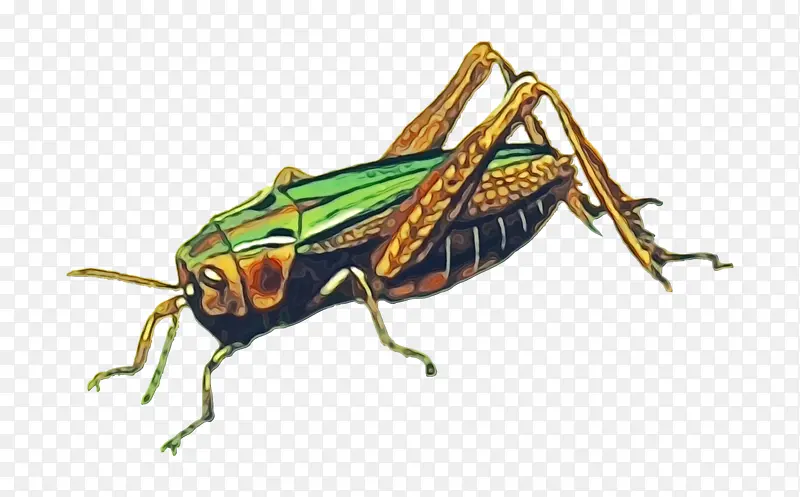 ˮ�� ���� ʪīˮ-������