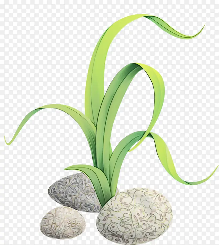 ˮ�� ���� ʪī-������