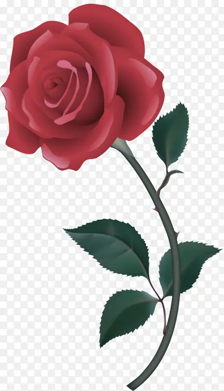 ���� ����ֲ�� ��԰õ��-������