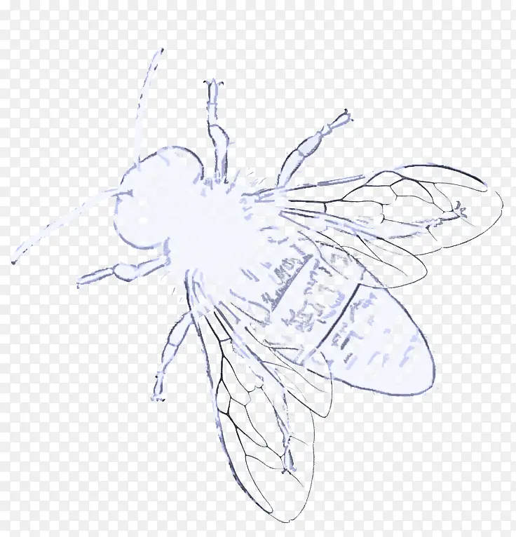 ���� ��Ӭ ���-������