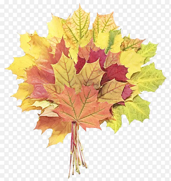 Ҷ�� �� �ڷ���-������