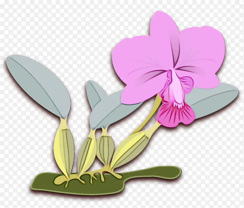 ˮ�ʻ� ���� ʪī-������