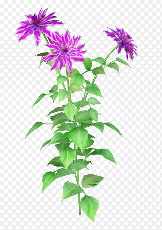 ˮ�� ���� ʪī-������