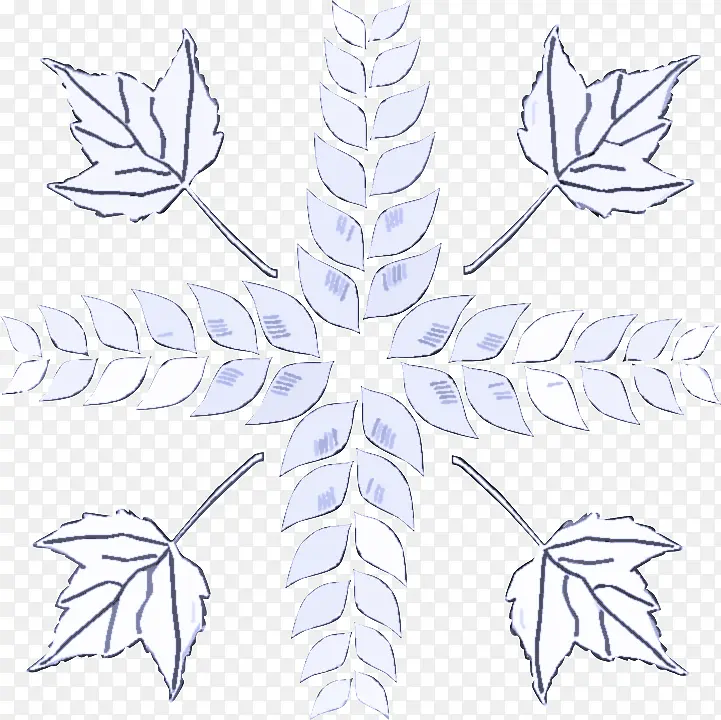 Ҷ ֲ�� �Գ�-������