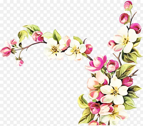 ���� ��ɫ ֲ��-������