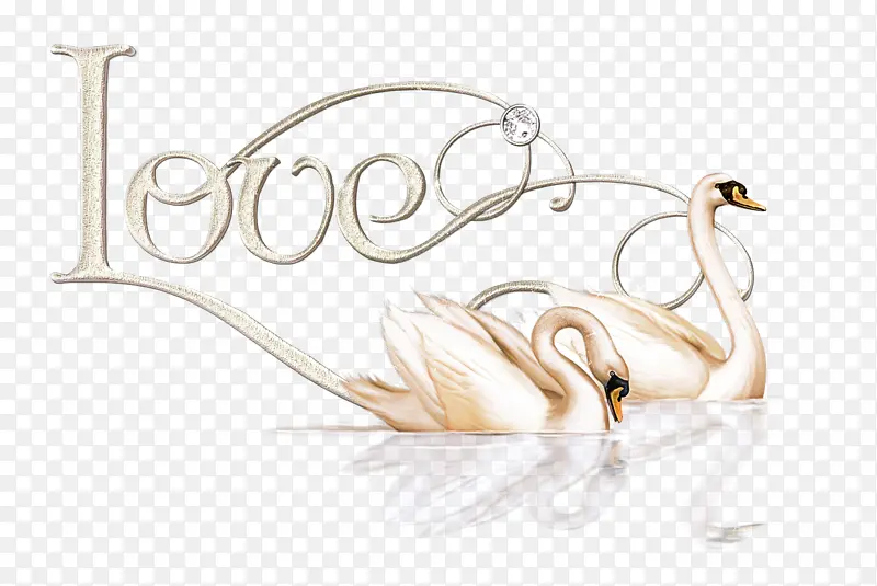 ʱ������ �鱦-������