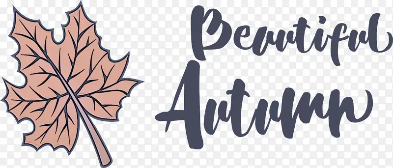 Ҷ�� �� ֲ��-������