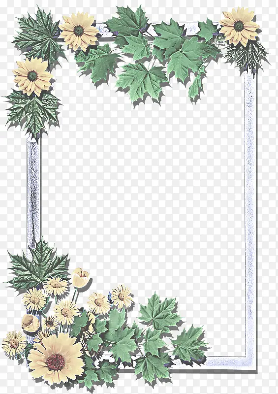 �� ֲ�� ����ֲ��-������