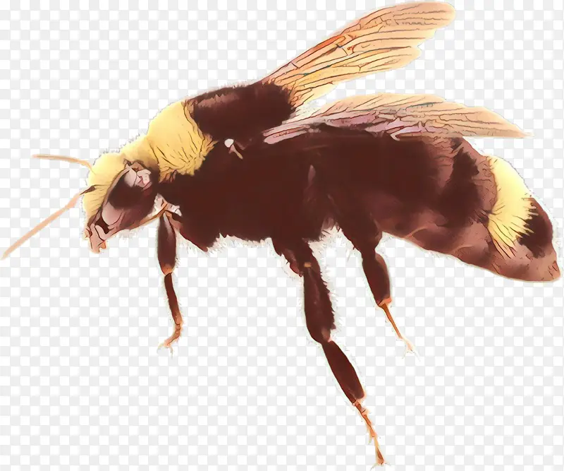 ��ͨ ���� ��Ӭ-������