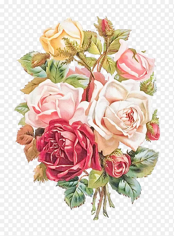 ���� ����ֲ�� ��԰õ��-������