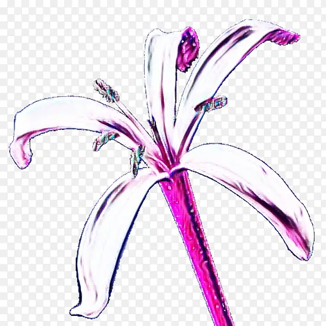 ˮ�� ���� ʪī-������