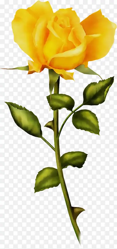 ˮ�� ���� ʪī-������