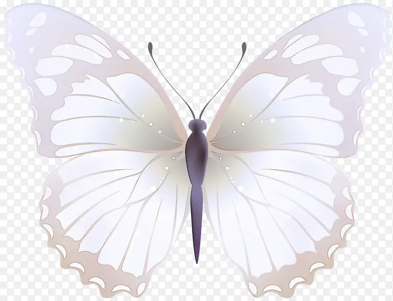 �ɶ�ͺ��� ���� ����-������