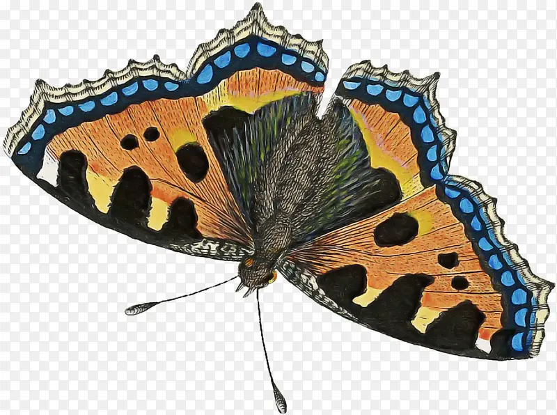 ���� ����������Ů ����-������