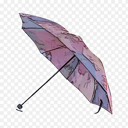 ��ɡ ��Ҷ ʱ������-������