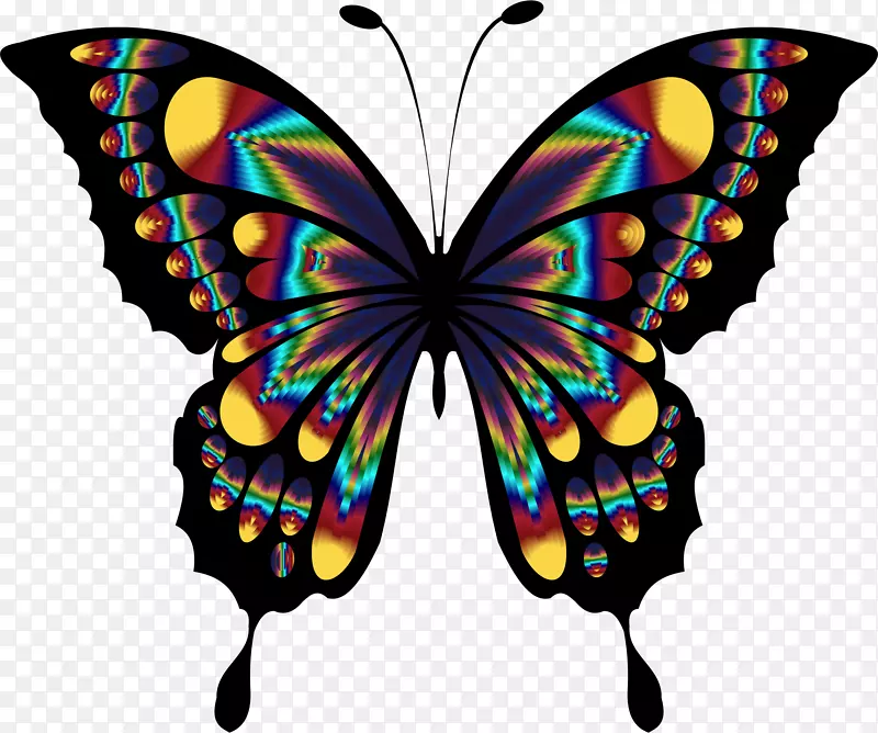 ���������������ֽ������-����-������